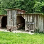 Haus 2 Hanselishof - 2 斯堪肯塞尔