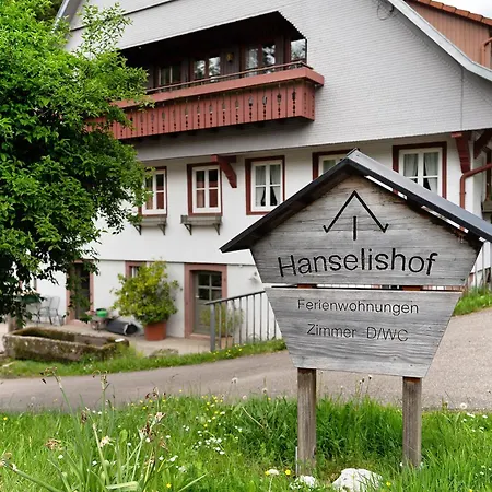 Prázdninový dům Haus 2 Hanselishof - 2 Schenkenzell