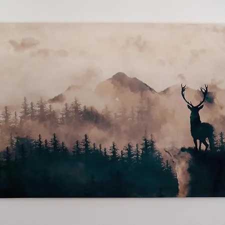 Haus 2 Hanselishof - 2 * Schenkenzell