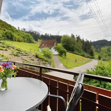 Haus 2 Hanselishof - 2 Schenkenzell