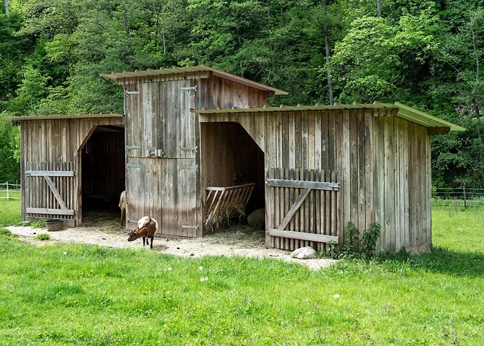 Haus 2 Hanselishof - 2 Nyaraló *